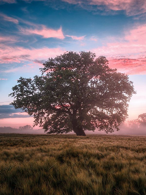 Behoud van de natuur